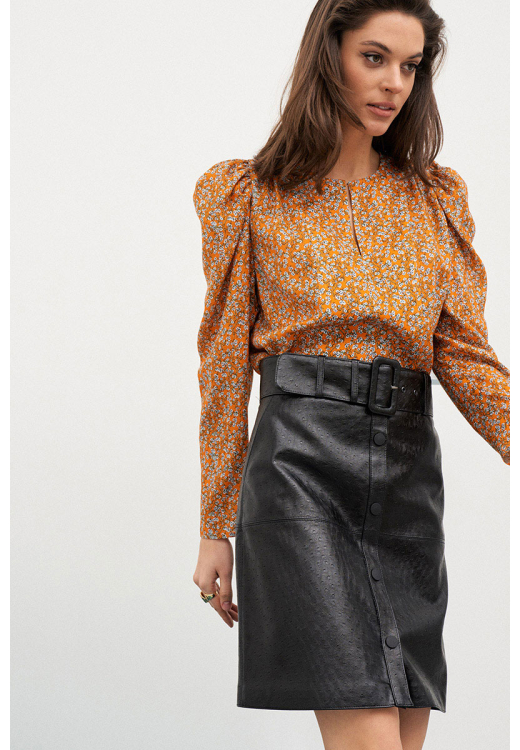 colors of papaya 1657