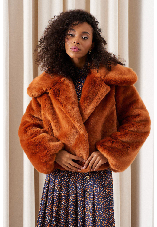 colors of papaya 1743